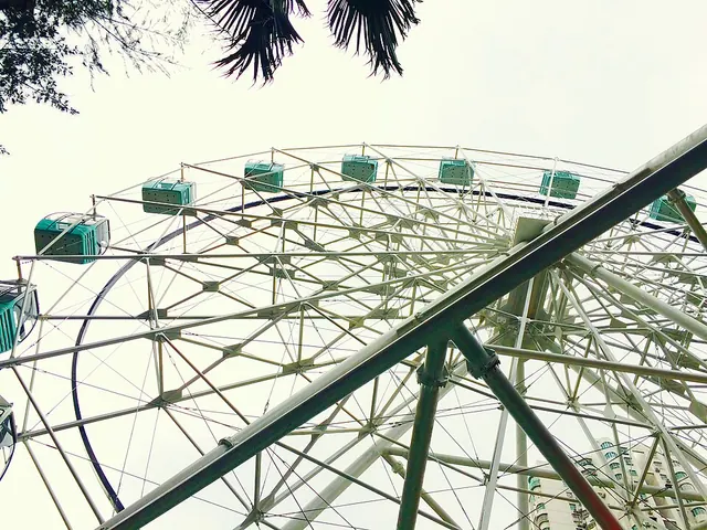 An observation wheel photographed inside Shenzhen Children’s Park in 2015
