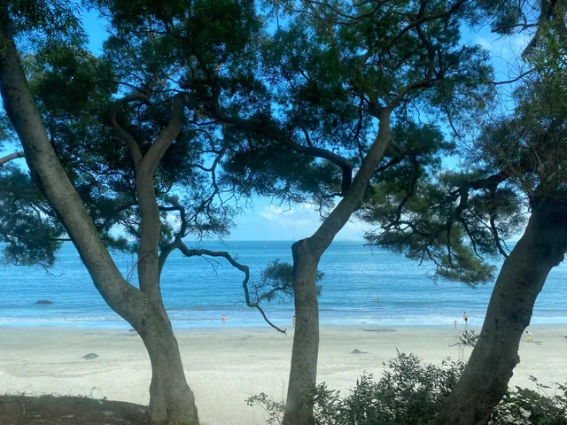 Cheung Sha Beach on Lantau Island seen through trees beside the sand